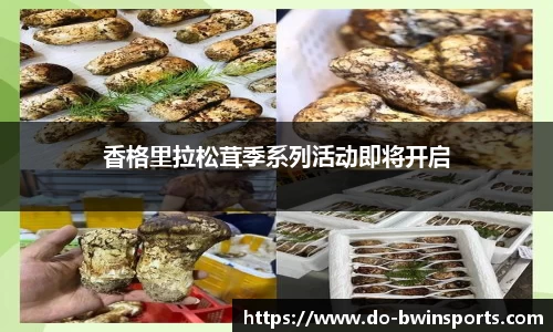 香格里拉松茸季系列活动即将开启